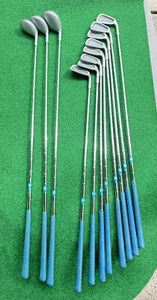 Vintage Ladies MacGregor Heritage Tour Iron 3 -PW Wood 1 3 5 Steel Golf Made USA - Picture 1 of 14