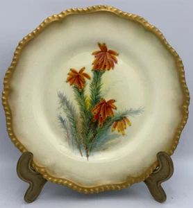 Fantastic W Hale Hand Painted Royal Worcester Botanical Cabinet Plate 1918 - Picture 1 of 17