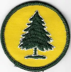 BSA TOPPA MEDAGLIONE PATTUGLIA COLORE MENTA VERDE PINO GARZA SUPPORTO - Foto 1 di 3