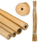 Bamboestokken - 150 cm - bamboe - tonkinstokken - tuin - plantensteun