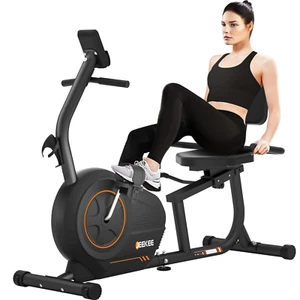 Recumbent Exercise Bike for Seniors,Stationary Bikes for Home, 300LB Capacity & - Picture 1 of 8