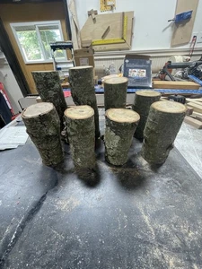 8 Stück Eichenstämme zum Drechselholz, Stammbrocken, Pen Blank verschiedene Größen - Bild 1 von 2