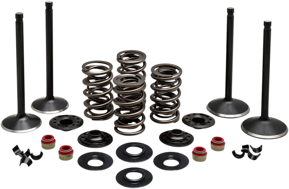 Kibblewhite 20-22650 Complete Valve Kit - Image 1 of 1