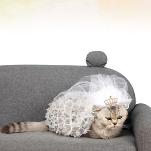  Wedding Shower Dress for Bride Gowns Dog Costume Accessories