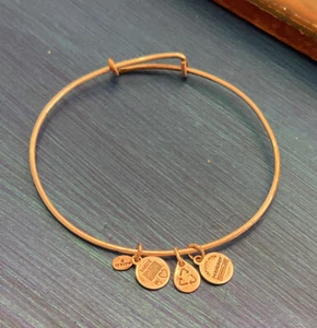 Alex and Ani Silver Bracelet Energy Adjustable Style Bangle 3 Small Charms - Picture 1 of 12