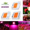 100W Full Spectrum LED COB Chip Grow Light Plant Growing Lamp 70W 50W 110V 220V 