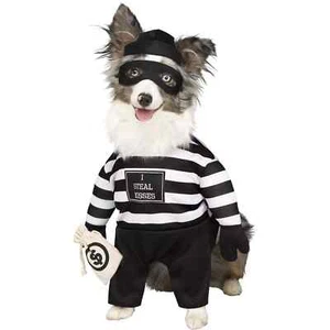 Beso Ladrón Cachorro Bandido Perro Disfraz Halloween Sombrero Máscara de Ojos Camisa M - Imagen 1 de 1