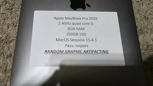 2019 Apple MacBook Pro 13.3" i5 2.4GHz 8GB RAM 256GB SSD A1989 - READ!! - Afbeelding 1 van 10