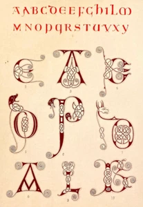 Alphabet letters design from Cottonian manuscript  7th century illumination - Picture 1 of 3