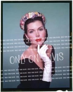 1950er hübsche Schauspielerin Ann Miller Vintage 4" x 5" Presse Transparenz 01 - Bild 1 von 1