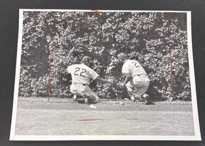 1957 Original 7x9 Newspaper Wire Photo Chicago Cubs - Picture 1 of 2