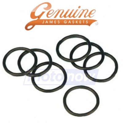 James Gasket Lower Dipstick Cover O-Ring for 1994-1998 Harley Davidson fs Foto 1 de 4