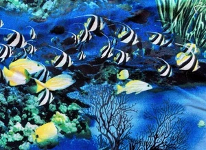 ANGEL FISH & TROPICAL FISH & CORAL REEF COTTON FABRIC 19" X 20" - Picture 1 of 4