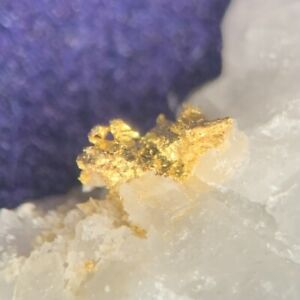 Native Gold Micro In Quartz From Stanley Co North Carolina USA #12