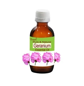Geranium Pure Natural Essential Oil Pelargonium graveolens by Bangota - Picture 1 of 4