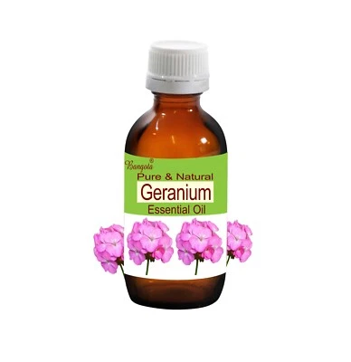 Geranium Pure Natural Essential Oil Pelargonium graveolens by Bangota - Image 1 of 4