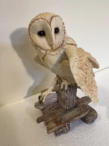 Estatuilla de resina de búho escocés de colección hecha a mano en las fronteras de Escocia bellas artes - Imagen 1 de 8