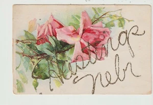 POSTKARTE GRÜSSUNGSBLUMEN HASTINGS NEBRASKA - Bild 1 von 2