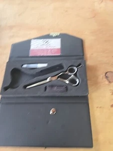 Professional Stainless Thinning Shear. Right Handed. For Cutting Hair. Togatta - Picture 1 of 5