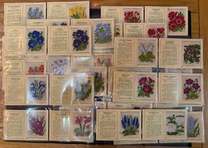 Kensitas Silk Flowers - Full Set of 2nd Series Medium - 40 +1 cards - Cat £446 - Picture 1 of 11