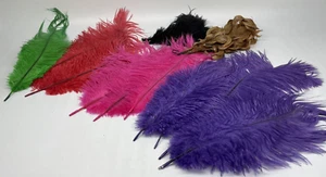 Vintage Millinery Feather Hat Plumes Lot of 12 - Picture 1 of 7