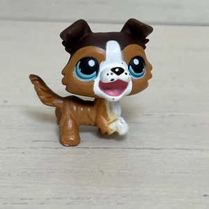 LPS HASBRO Littlest Pet Shop Collie Paw Up Open Mouth #237 (AUTHENTIC LPS) - Picture 1 of 4