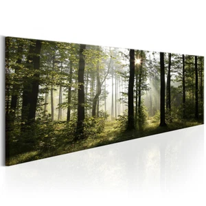 Wald Natur Landschaften VLIES LEINWAND DEKO BILDER WANDBILDER XXL WOHNZIMMER - Bild 1 von 8