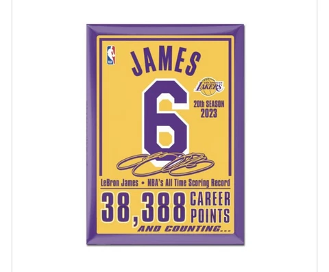LEBRON JAMES LAKERS METAL MAGNET 2.5" X 3.5" LOS ANGELES LAKERS Cover