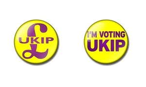 Vote UKIP 25mm button badge / fridge magnet ELECTION, Politics - Picture 1 of 9