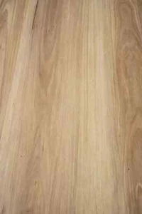 SPC Hybrid Flooring Hydro Tuff 100% Waterproof 9mm - COASTAL BLACKBUTT - Picture 1 of 3