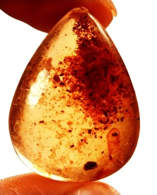18.50 Cts. Natural Genuine Old Baltic Amber Untreated Certified Gemstone - Image 1 of 4