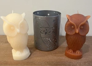 Silber Eule Kerzenhülle + 2 Eulenkerzen Set Herbstdeko Better Homes & Gardens - Bild 1 von 7