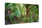 Leinwandbild Kunst-Druck Tropischer Regenwald 100x60 cm