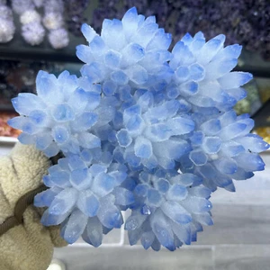 Nuevo Encontrar Azul Fantasma Cuarzo Cristal Racimo Mineral Espécimen Decoración Curativa - Imagen 1 de 15