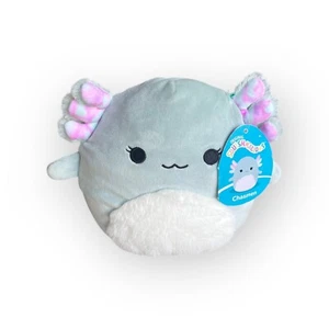 Squishmallows 7,5" Chasmen the Axolotl nuovo con etichetta - Foto 1 di 4