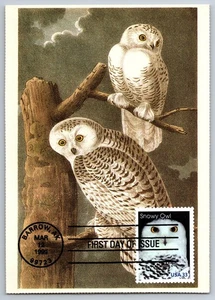 3290 Arctic Animals Snowy Owl FDC Maxi Card w/Pictorial Cancel - Picture 1 of 2