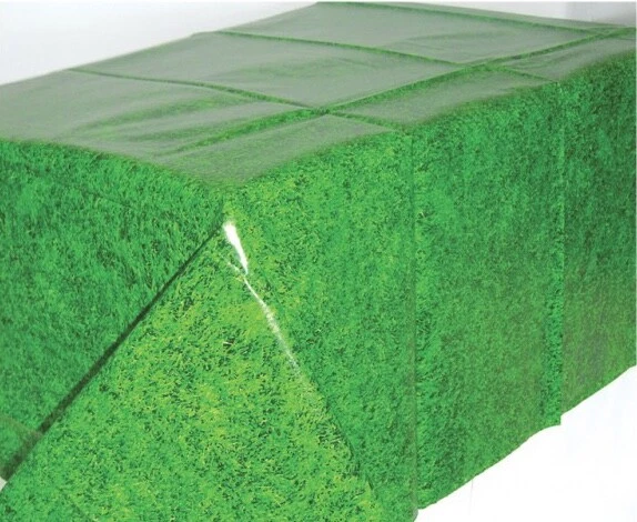 Cubierta de mesa de fiesta de diseño ""hierba"" de fútbol - vajilla de fiesta Foto 1 de 1