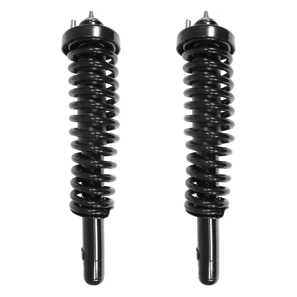 Front Complete Struts Shocks Set of 2 for 1996-2000 Honda Civic Foto 1 de 1