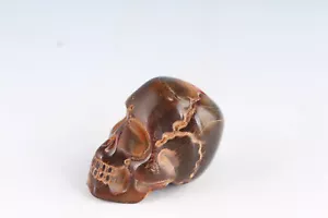Chinese handmde livestock yak horn skull netsuke pendant gift - Picture 1 of 4