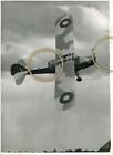 TAYLORCRAFT AUSTER - Original Aircraft photo Ron Moulton collection