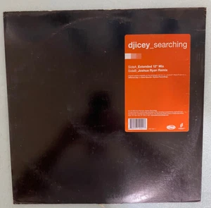 DJ ICEY - Searching 2003 Zone Records 12” Vinyl - Picture 1 of 3