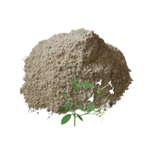 100% Pure Rhinacanthus Nasutus Powder Snake Jasmine Natural Herbal Antioxidant - Picture 1 of 8