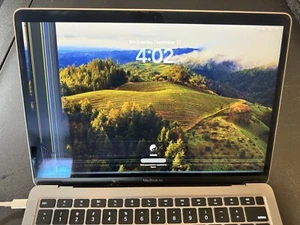 Apple MacBook Air A2337 2020 M1 Pantalla LCD Repuesto Gris espacial EMC 3598 - Imagen 1 de 8