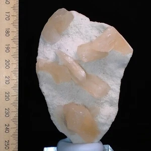 Pajarita de zeolita Stilbite racimos de cristal en blanco matriz de mordenita India 500ct - Imagen 1 de 8