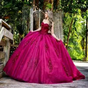 Mexikanische Fuchsia Quinceañera Kleider Applikation Spitze Perlen Schleife Tull Geburtstag - Bild 1 von 4