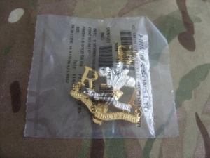 THE ROYAL MONMOUTHSHIRE ROYAL ENGINEERS ANODISED CAP BADGE - SAPPERS - Picture 1 of 3