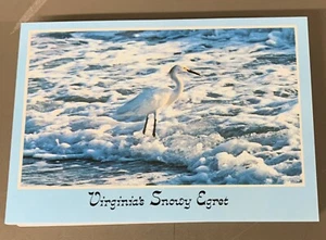 # T1754 LOTE DE POSTALES GARCETA NEVADA DE VIRGINIA, 50 TARJETAS TODAS IGUALES - Imagen 1 de 4