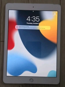 Apple iPad (5.ª generación) A1823 128 GB, Wi-Fi, 9,7 - Gris espacial - Imagen 1 de 6