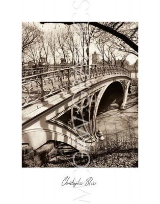 Central Park Bridges 3 New York, Chris Bliss, Wall Decor Art Print 14" x 11" - Image 1 of 2
