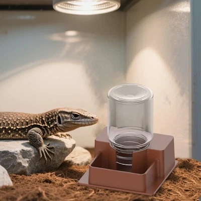 Dispensador automático de água recipiente alimentador de réptil para tartaruga - Imagem 1 de 2